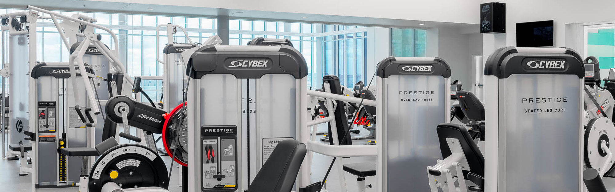 Cybex Fitness Equipment for Sale Online | Global Fitness