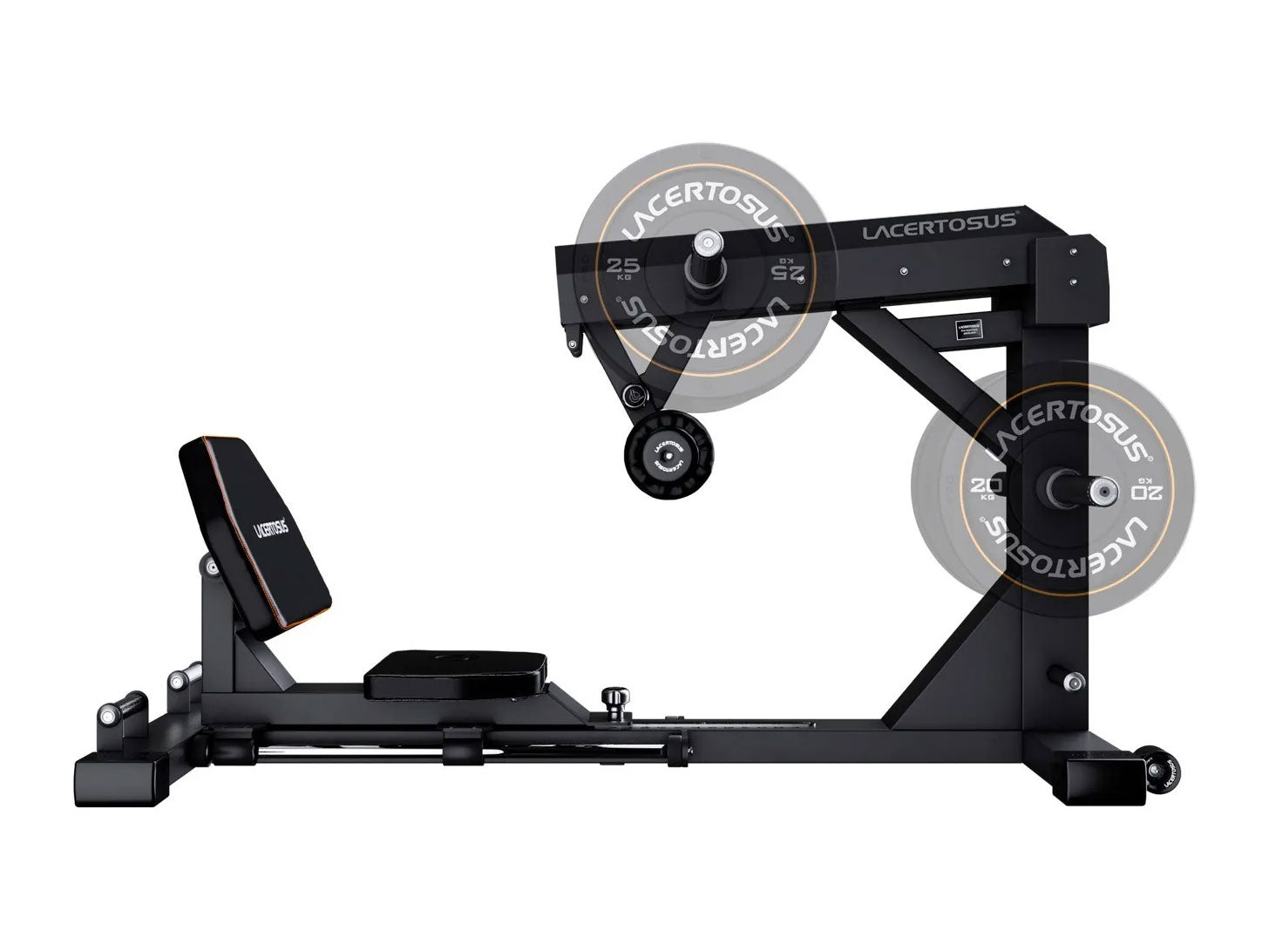 Lacertosus Hip Thrust with Plate Weights