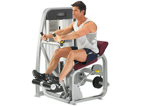 Factory photo of a Used Cybex Eagle Abdominal