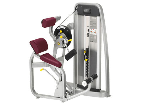 Factory photo of a Used Cybex Eagle Back Extension