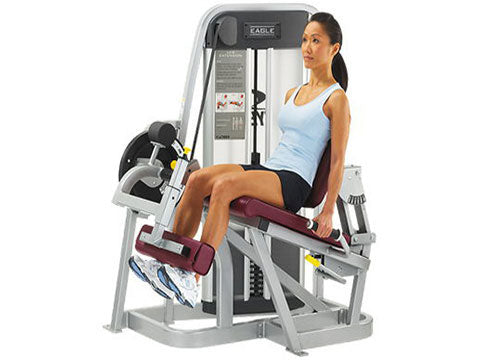 Factory photo of a Used Cybex Eagle Leg Extension