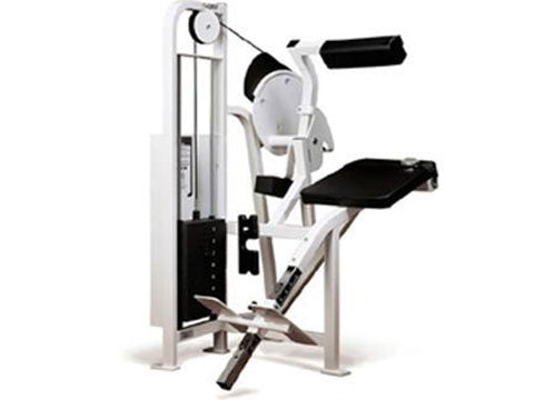 Factory photo of a Used Cybex VR Back Extension