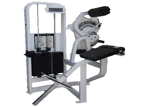 Factory photo of a Used Cybex VR2 Back Extension