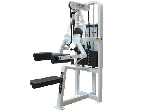 cybex vr3 lateral raise Used Cybex VR2 Lateral Raise for Sale Online