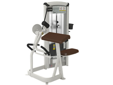 Factory photo of a Used Cybex VR3 Arm Curl