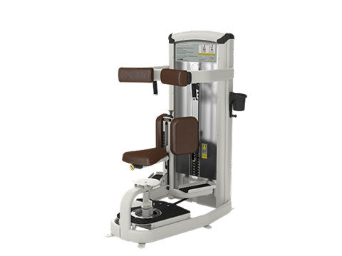 Factory photo of a Used Cybex VR3 Graduated Torso Rotation