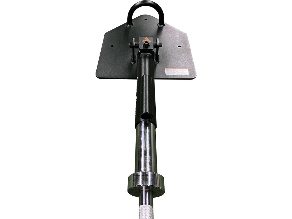 Global Fitness Top View