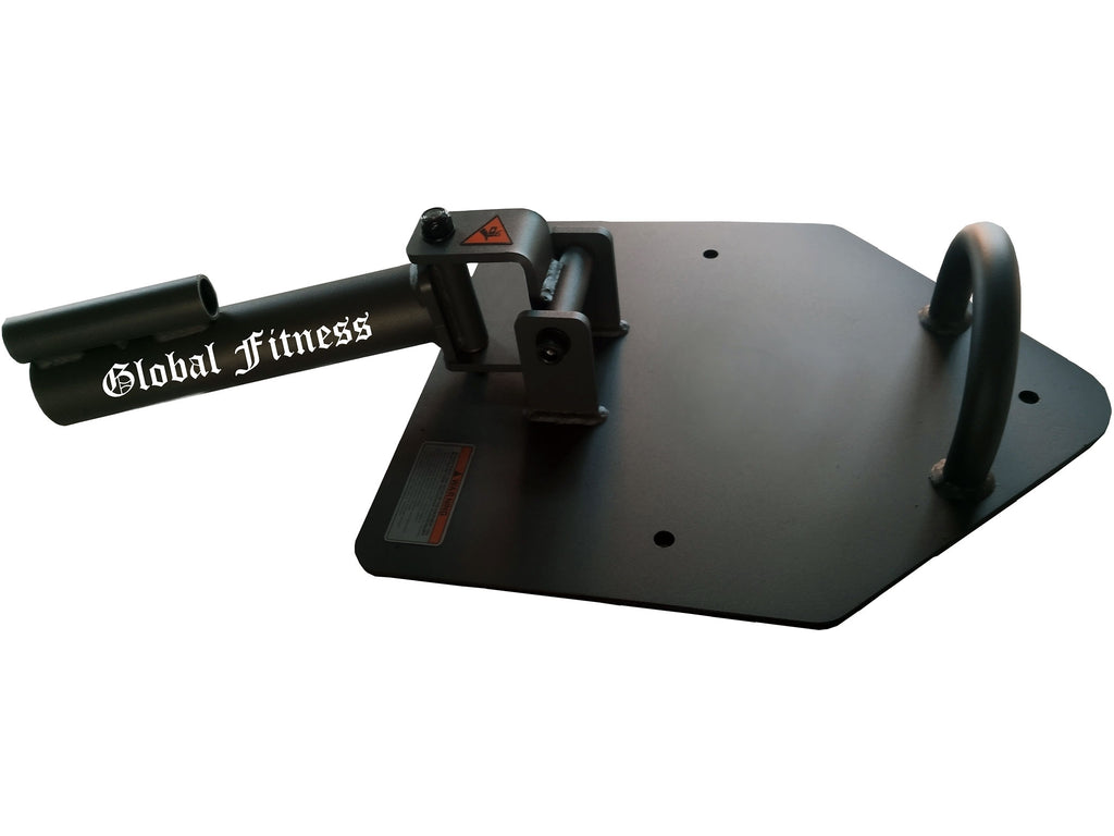 Global Fitness Landmine