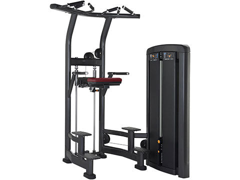 Factory photo of a Refurbished Life Fitness Insignia Series Assist Dip Chin