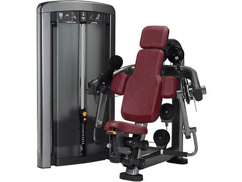 Factory photo of a Refurbished Life Fitness Insignia Series Bicep Curl