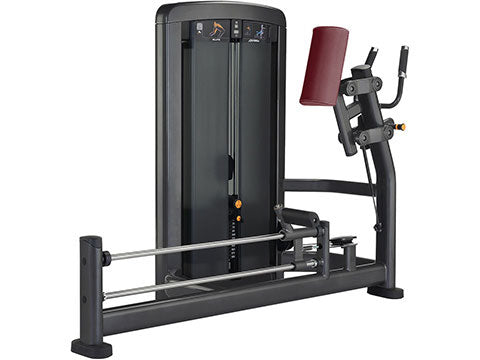 Factory photo of a Used Life Fitness Insignia Series Glute