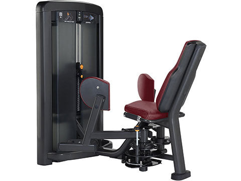 Factory photo of a Refurbished Life Fitness Insignia Series Hip Abduction