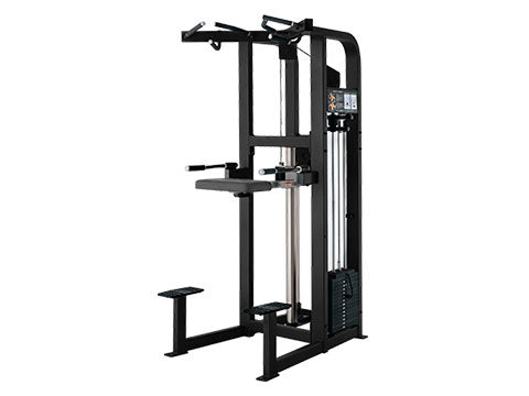 Factory photo of a Used Life Fitness Pro 2 Assisted Dip Chin