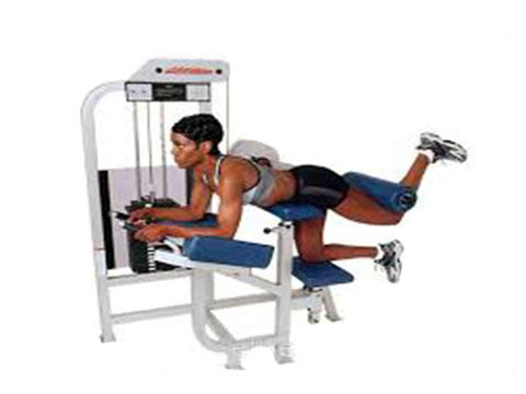 Factory photo of a Refurbished Life Fitness Pro Glute