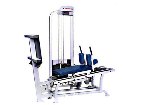 Factory photo of a Refurbished Life Fitness Pro Horizontal Leg Press