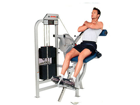 Factory photo of a Refurbished Life Fitness Pro Lower Back Extension