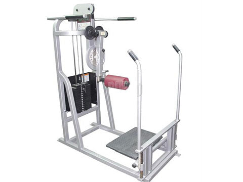 Factory photo of a Refurbished Life Fitness Pro Multi Hip