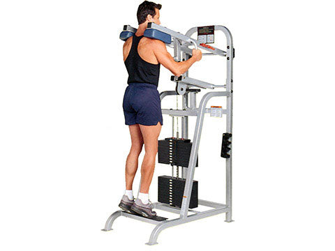 Factory photo of a Refurbished Life Fitness Pro Standing Calf