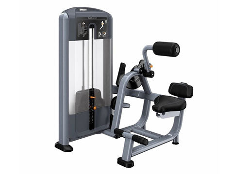Back Extension Machine Procor Best Used Precor Discovery Series Back Extension | Cheap