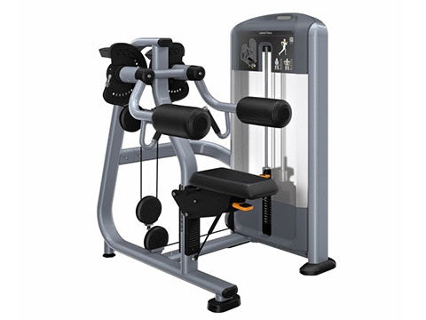 Factory photo of a Used Precor Discovery Series Lateral Raise