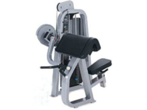 Factory photo of a Refurbished Precor Icarian Camber Bicep Curl
