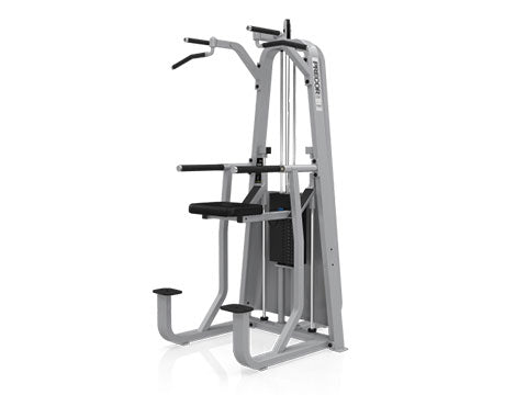 Factory photo of a Used Precor Icarian Dip Chin Assist