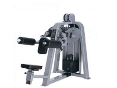 Factory photo of a Used Precor Icarian Lateral Raise