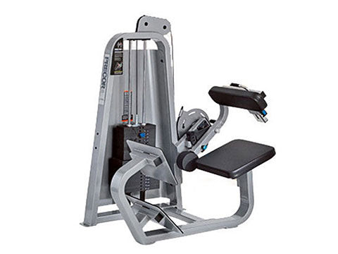Factory photo of a Used Precor Icarian Low Back Extension