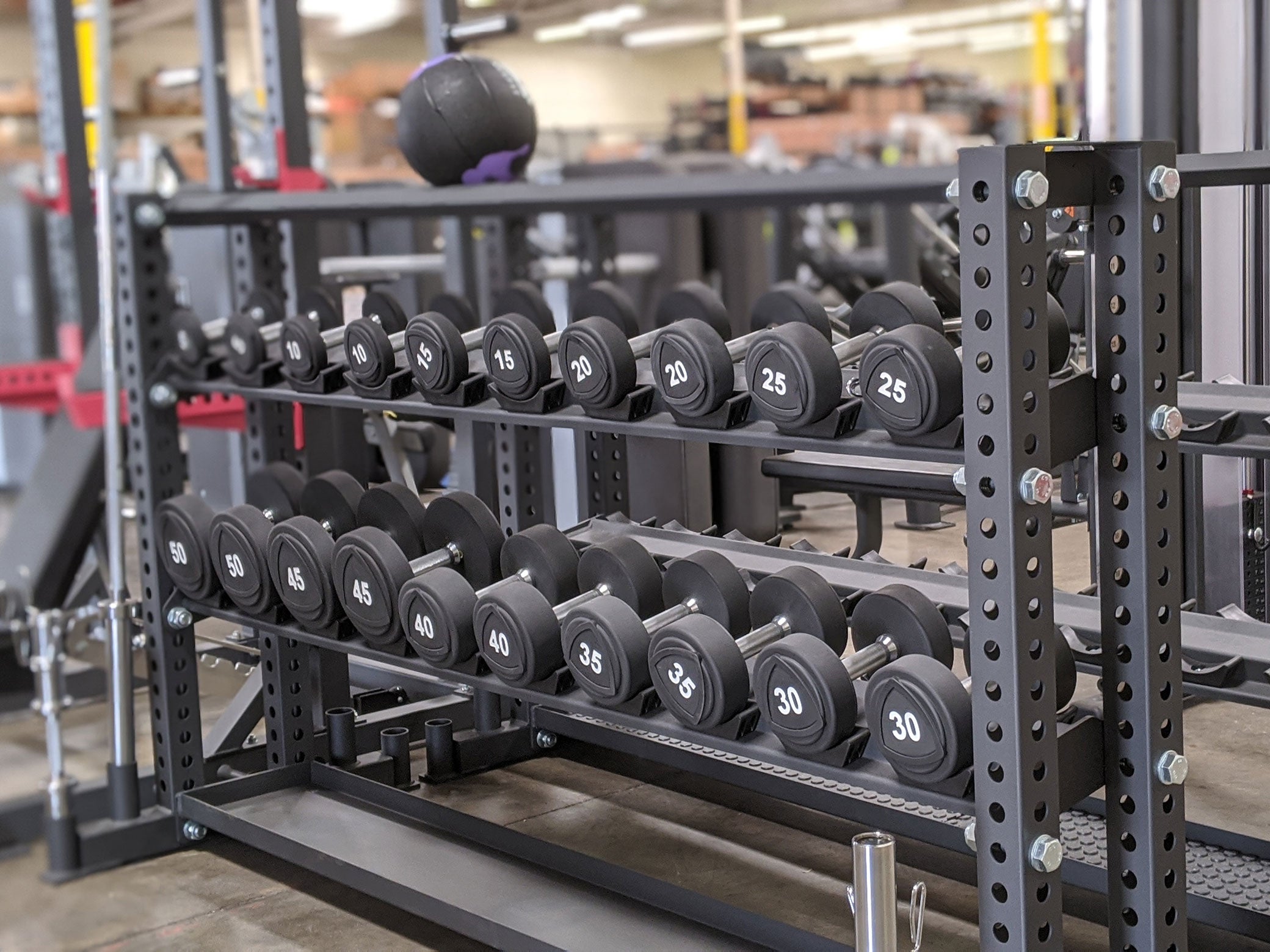 Sportgear 4 Tier Universal Storage Rack with Dumbbells