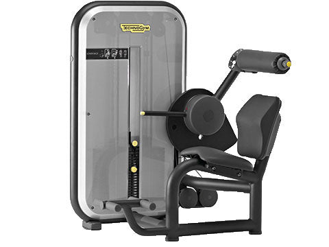 Factory photo of a Used Technogym Element Lower Back