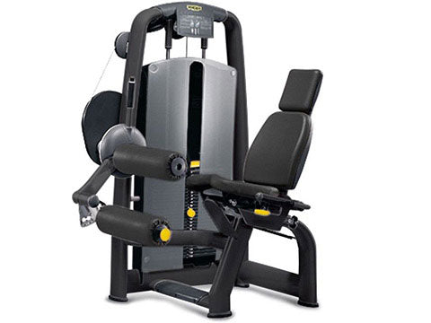 Factory photo of a Refurbished Technogym Selection Seated Leg Curl